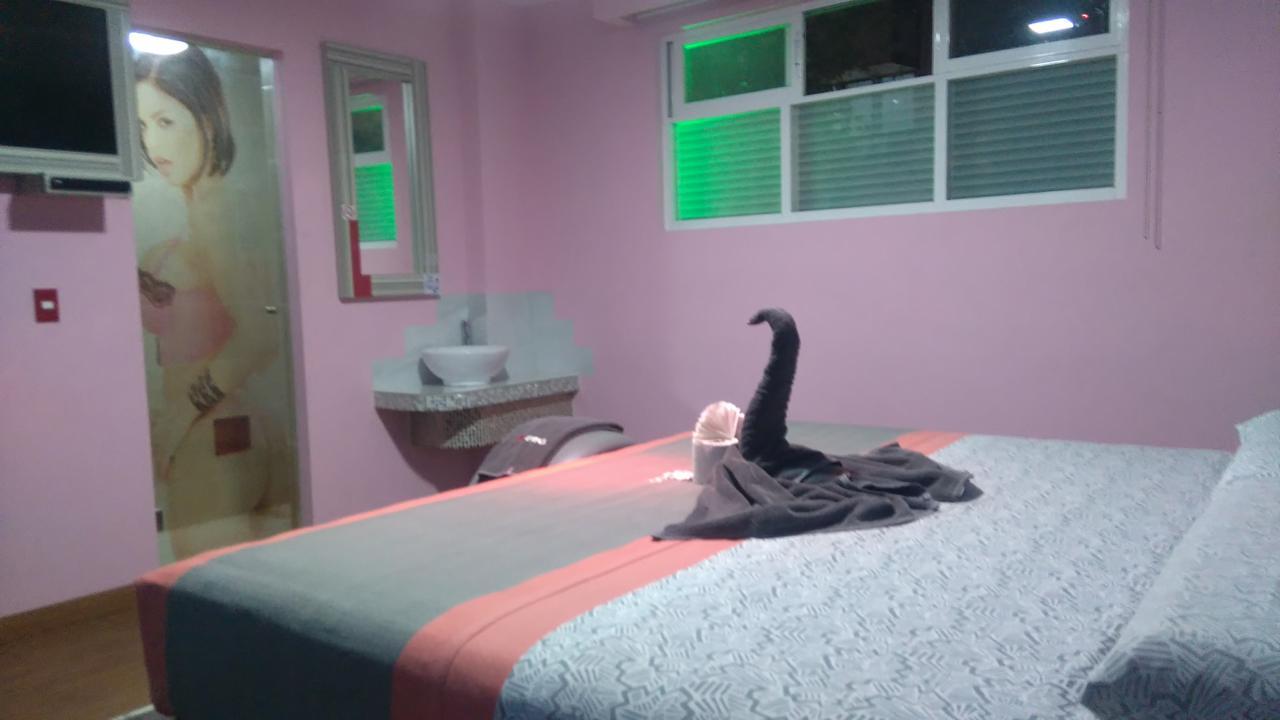 Hotel H - Eco Adults Only مدينة مكسيكو المظهر الخارجي الصورة